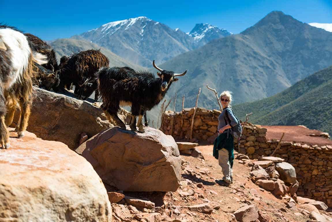 Majestic Erg Chebbi & Erg Chegaga deserts, High Atlas – 8 days